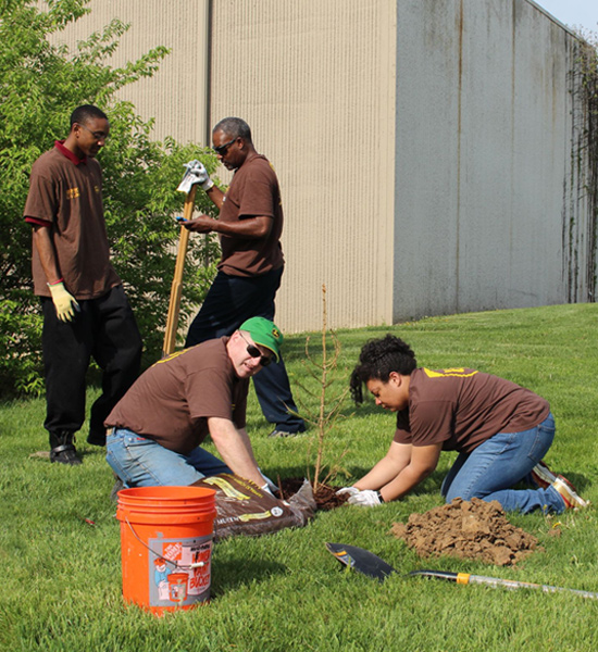 A group of volunteers planting a tree. 